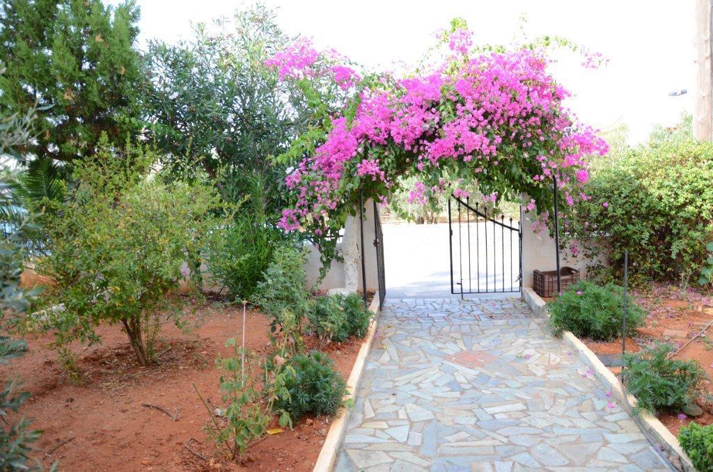 Alex Home Apartments Χερσόνησος Εξωτερικό φωτογραφία